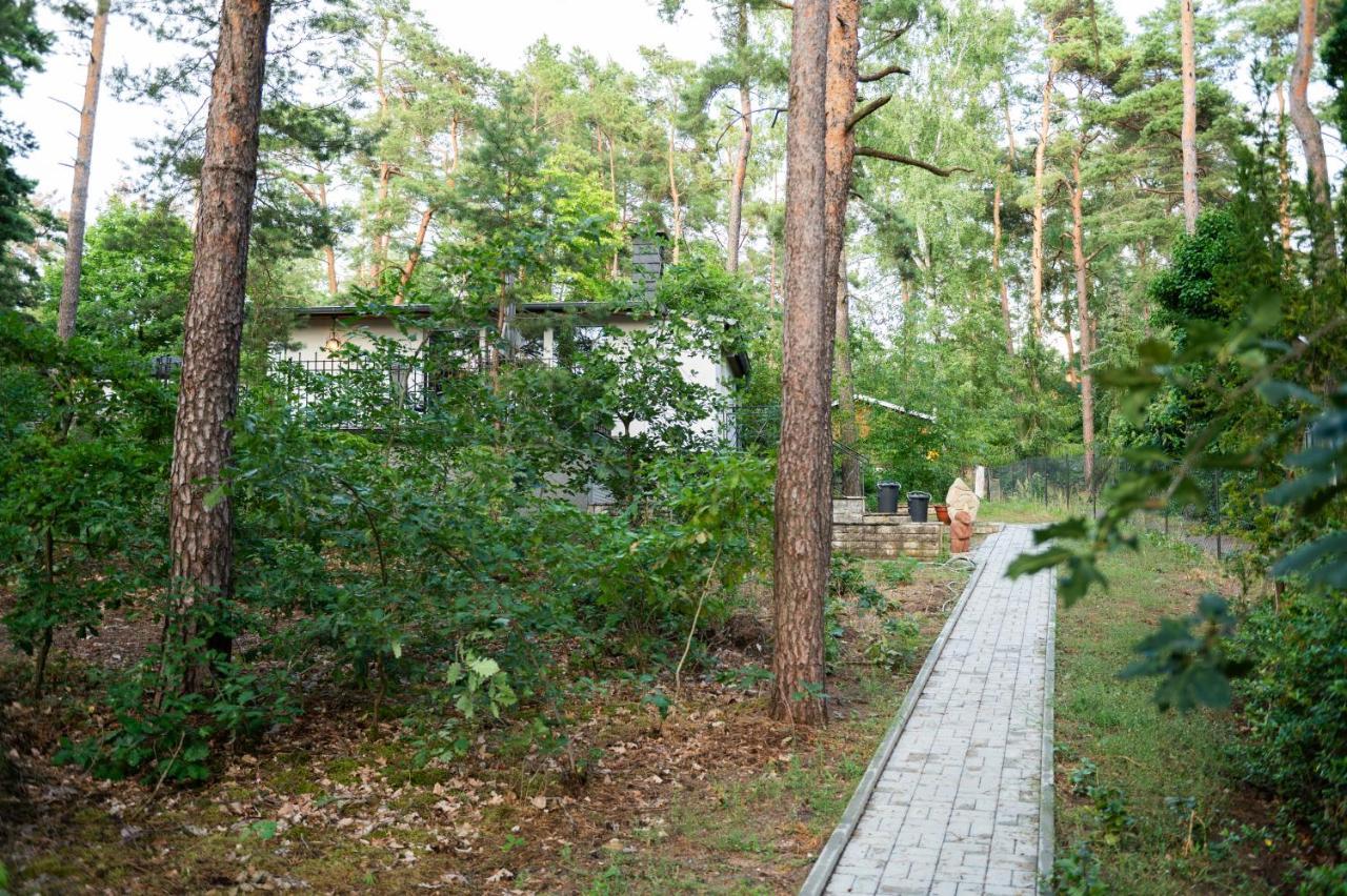 Hausmeise Holiday home Heidesee